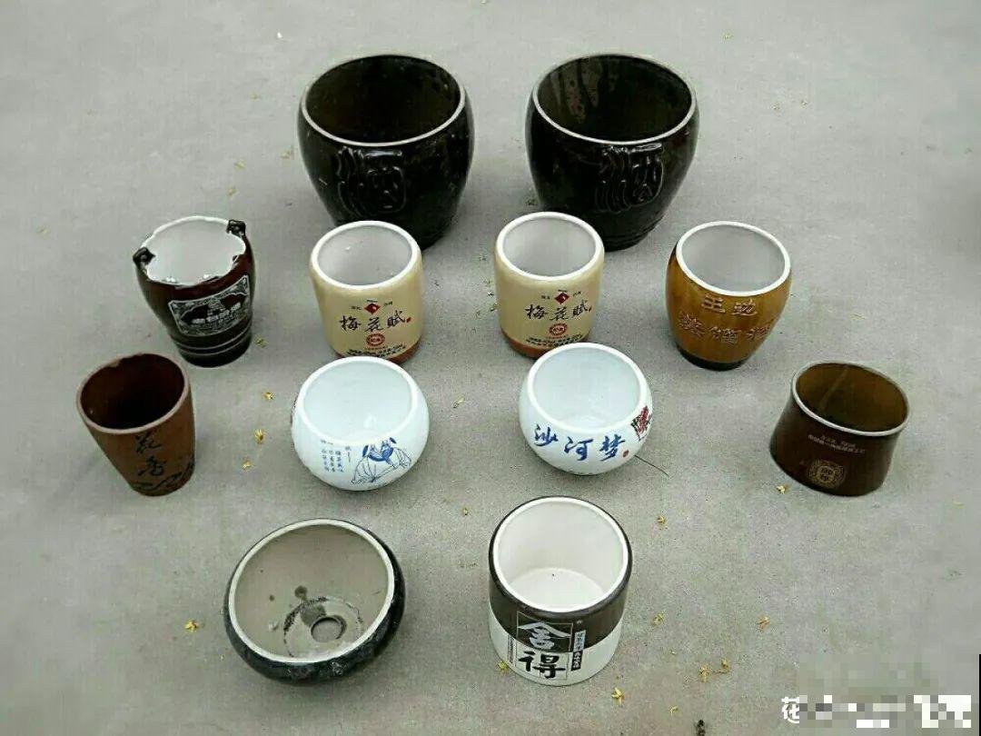 过年的酒瓶子，千万别人，切2刀做花盆，好看又省钱