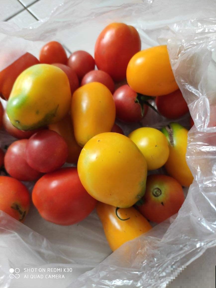 养生要从年轻开始，迈开腿，管住嘴，才能越活越健康