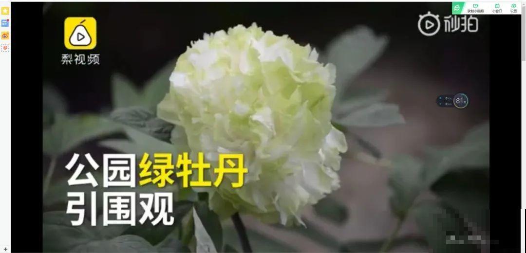 千万不要动我的花,以免赔的倾家荡产! 千万不要动我的花,以免赔的倾家荡产!