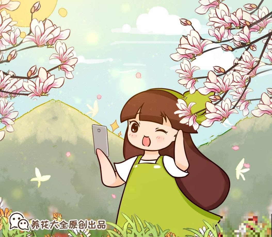 马蹄莲的养护技巧，做好这几点，花朵又大又多！