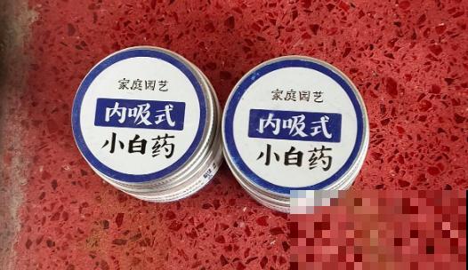 春天快到了，植物容易遭受虫害，学会治疗方法最重要