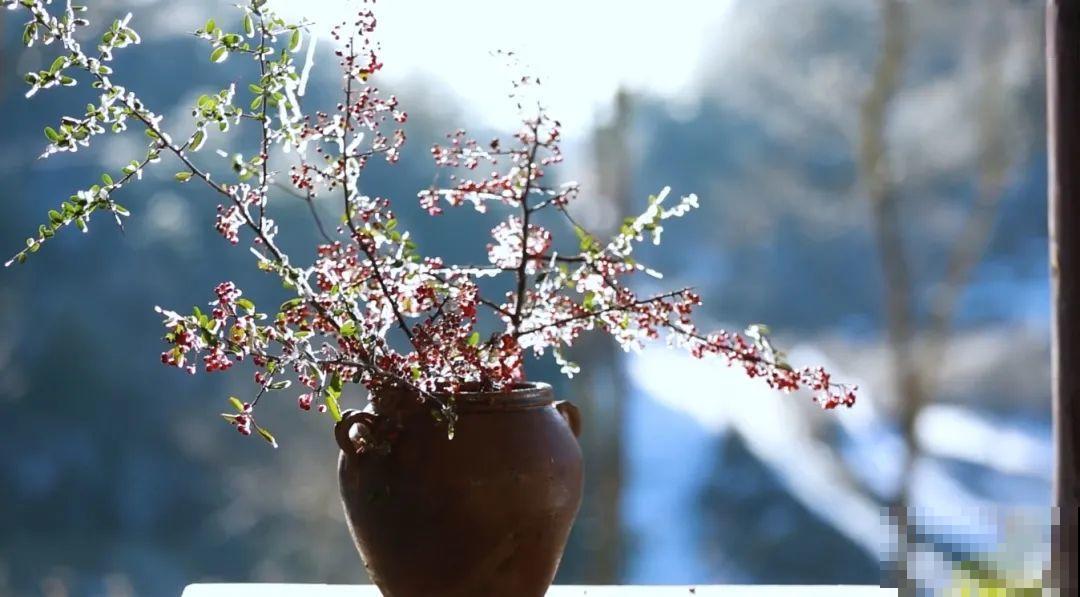 3年的时间，老院子变成大花园，过上塔莎奶奶一样的日子！