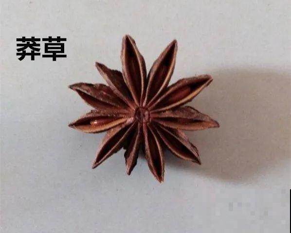 医院铁树结果，却被摘走30颗，园丁师傅吓坏了！