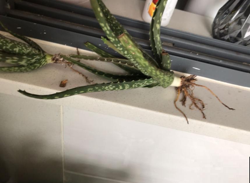 那些被你浪费的“珍宝”,快去捡回来,否则错过“一个亿” 那些被你浪费的“珍宝”,快去捡回来,否则错过“一个亿”