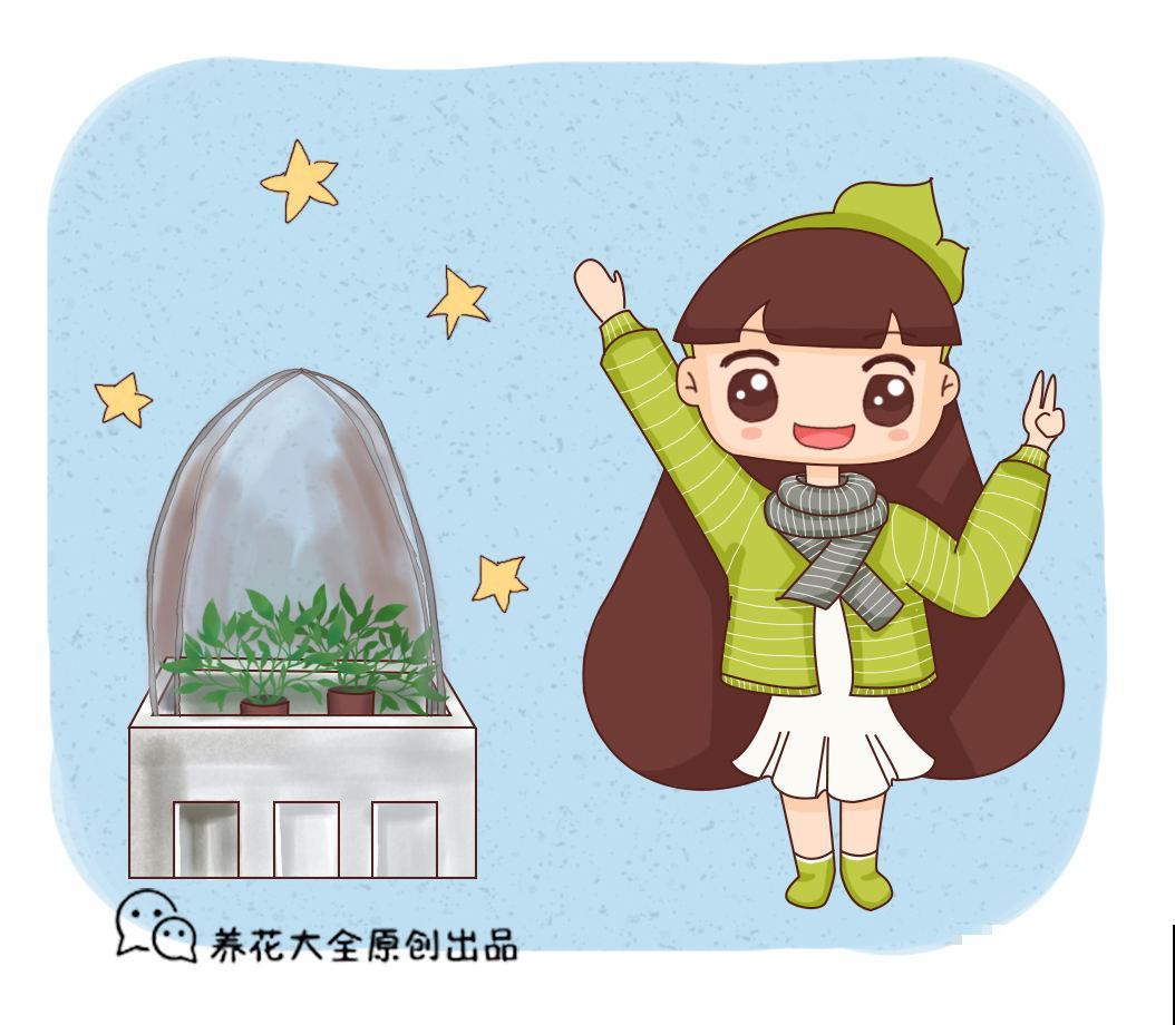 泡沫箱有大用，爱养花的人要留好它，扔掉就是扔钱！