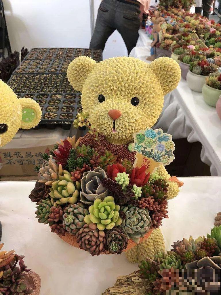 多肉塞进一个盆里，像是艺术品，颜值高了好几个档次！