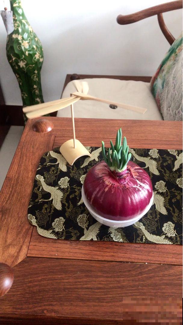 过年总是吃得油腻，不如吃3种蔬菜，清口解腻减轻负担