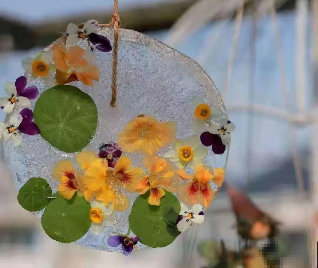 水里摆上花朵，室外冻一冻，简直美翻了！