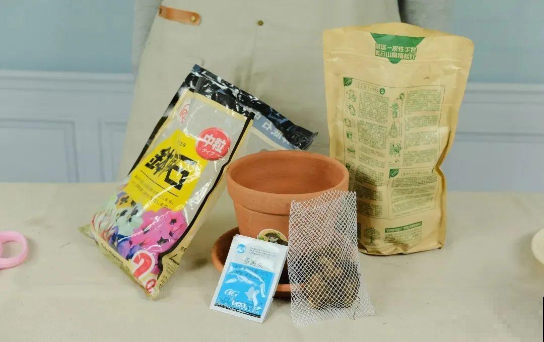 1种花不能用大盆，盆越小，水越少，开花更爆盆！