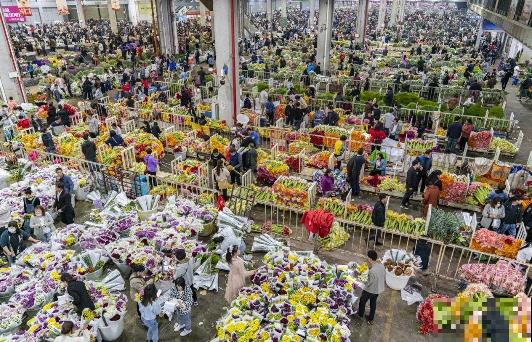中国最大的6个花市，去过一个就爱上，大开眼界！