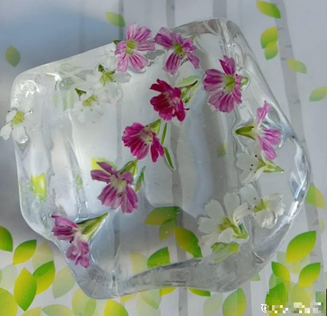 水里摆上花朵，室外冻一冻，简直美翻了！