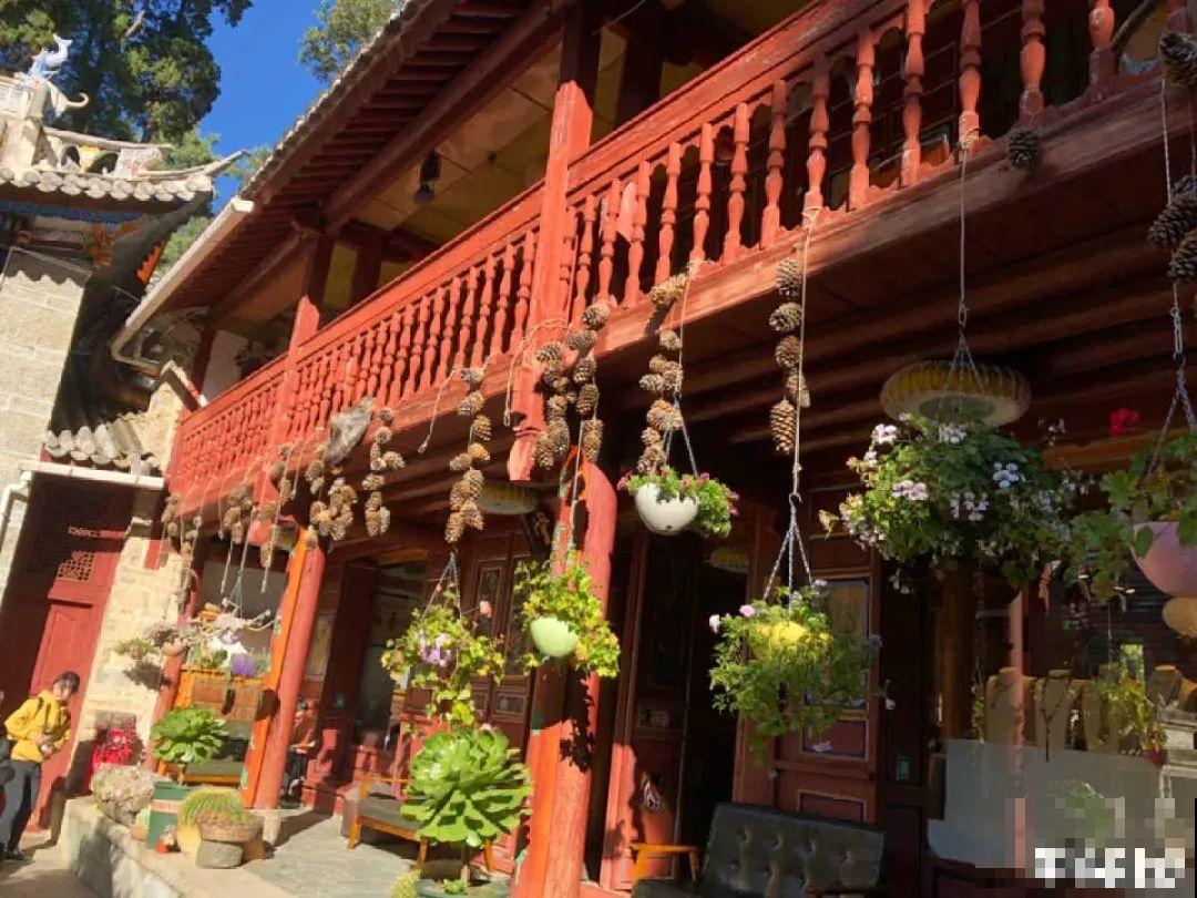 山上的尼姑庵,只养花不烧香,看完想出家 山上的尼姑庵,只养花不烧香,看完想出家