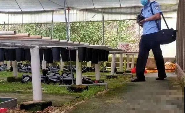 千万不要动我的花,以免赔的倾家荡产! 千万不要动我的花,以免赔的倾家荡产!