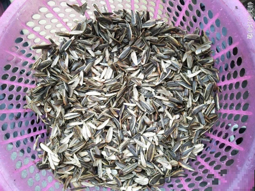 换盆用它垫盆底，养花效果非常好，花卉越长越旺盛！