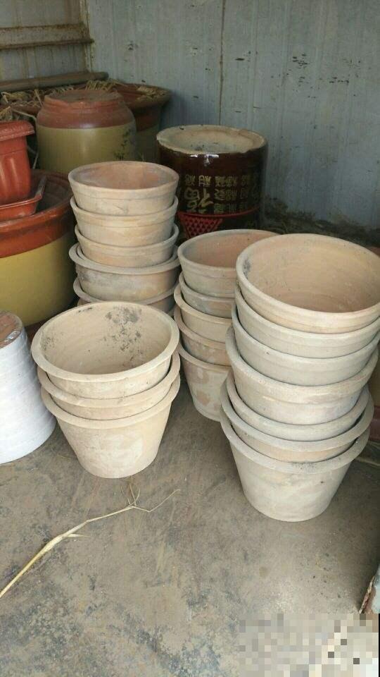 养花选盆很重要,选得正确,花才能长得旺盛 养花选盆很重要,选得正确,花才能长得旺盛