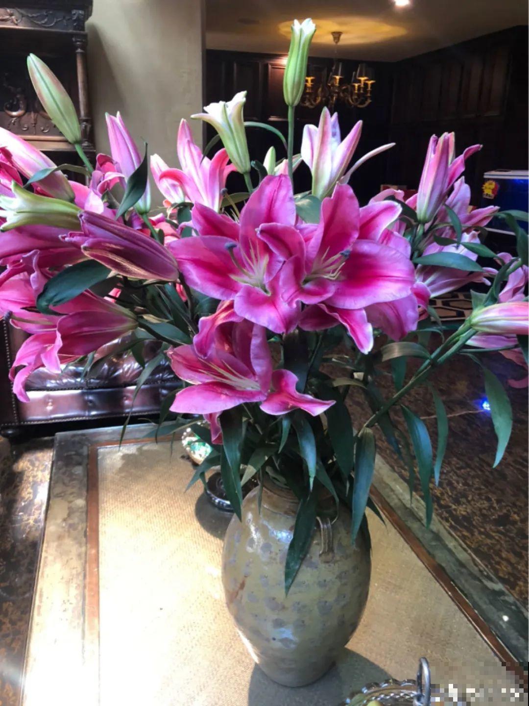 冬天的5种花特香，越冷越开花，像是喷了香水