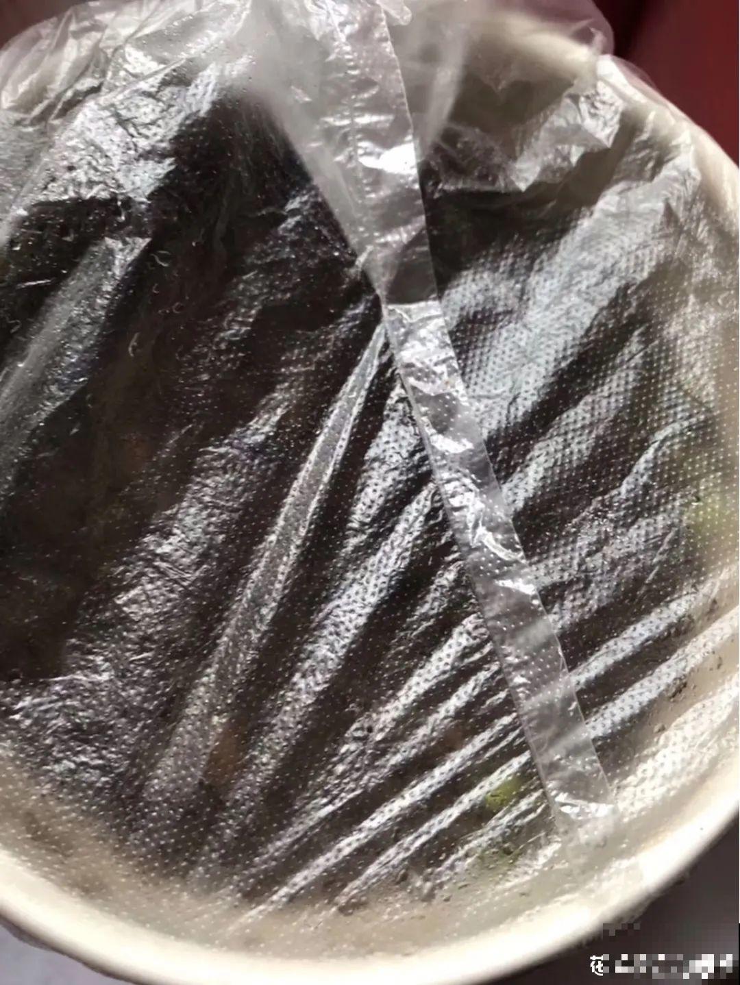 吃完的水果核别丢，扔土里长出小嫩芽，俩月长成新盆栽