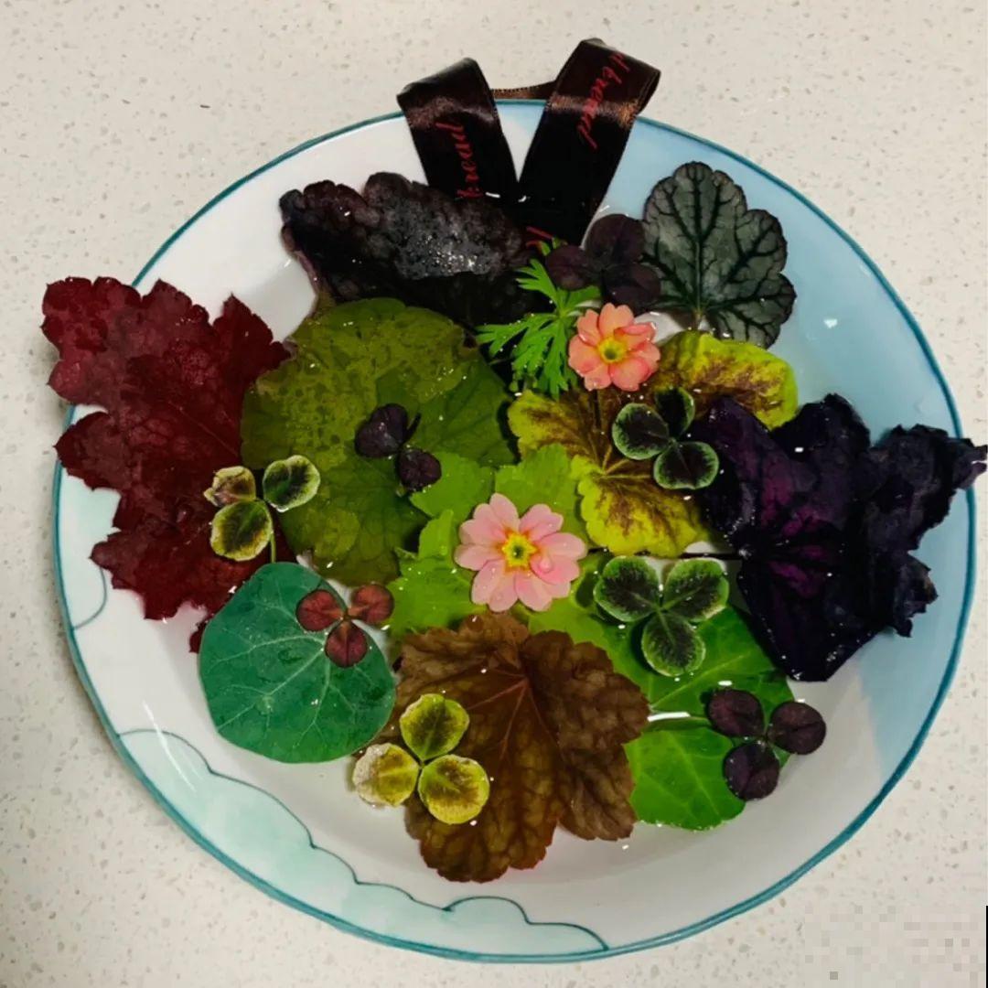 水里摆上花朵，室外冻一冻，简直美翻了！