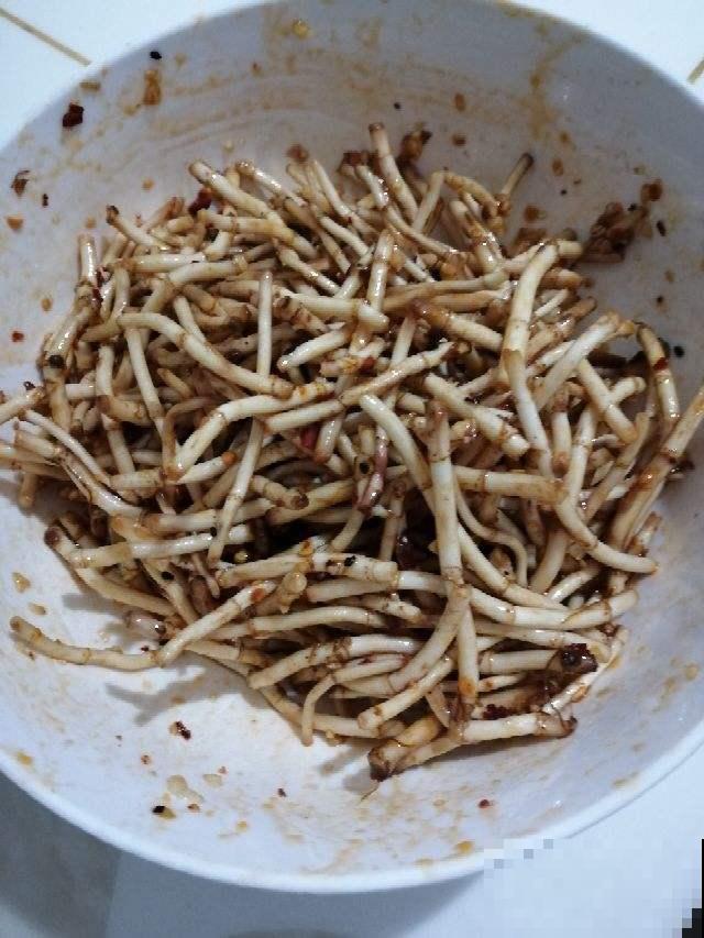 4种“去火”草，农村最多，现在越挖越少