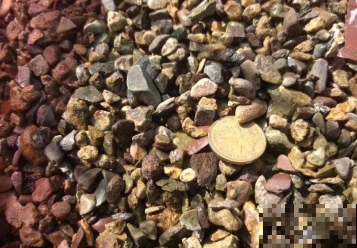 植物总是养不好？土里加这5种颗粒，再也不会黄叶烂根！