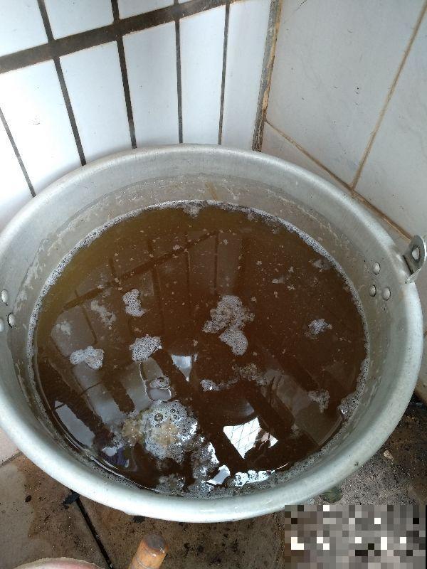 养花的8个小习惯，一定要改掉，不然花只剩空盆