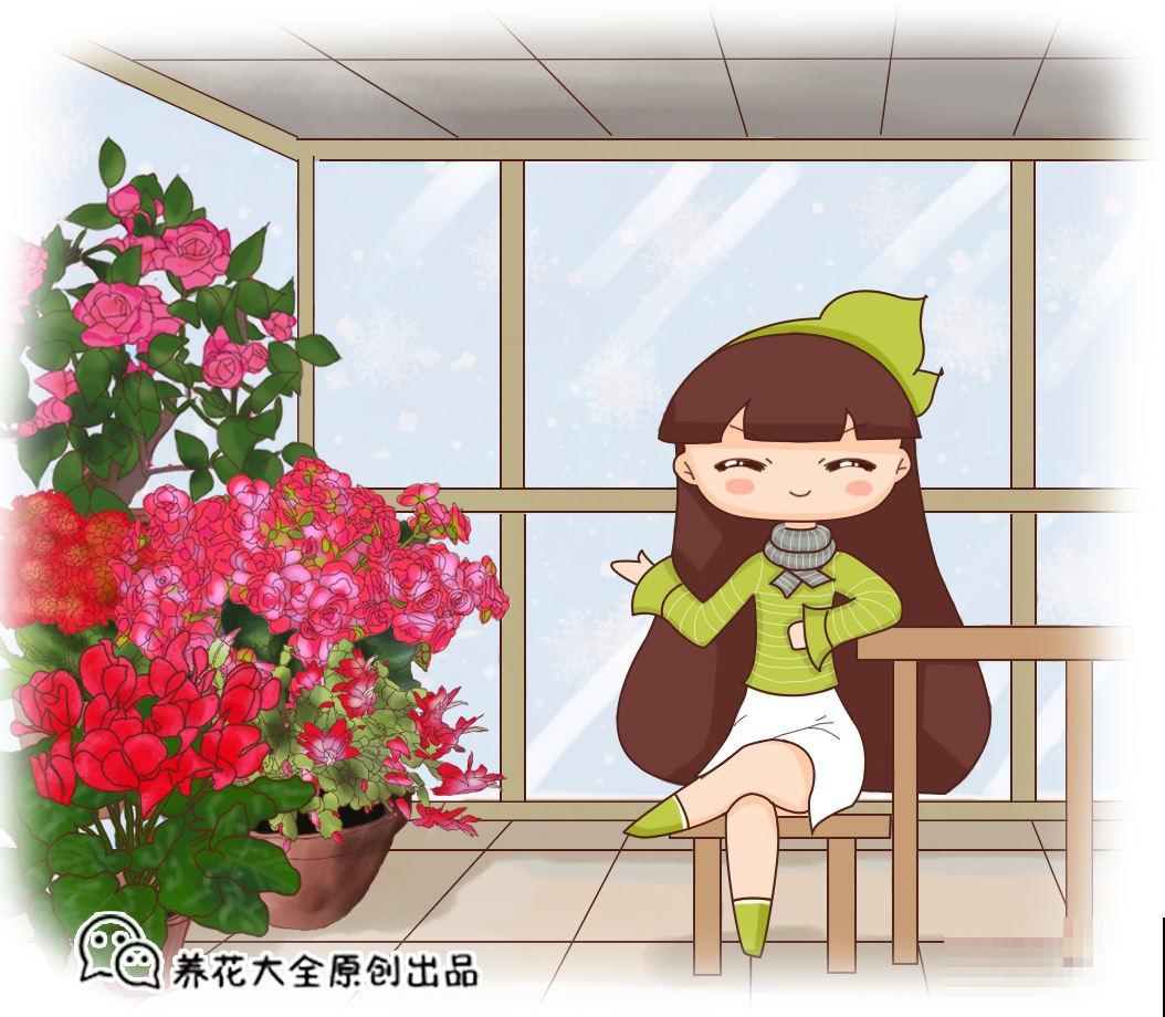 北阳台光照差，就养这5种植物，颜值超高还耐阴！