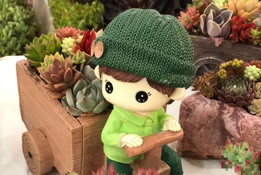 多肉塞进一个盆里，像是艺术品，颜值高了好几个档次！