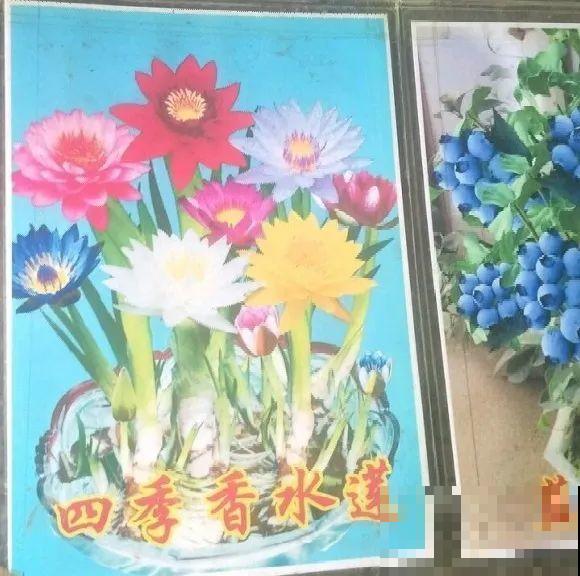 花骗子跑家里来,被戳穿后,没想到赖着不走了! 花骗子跑家里来,被戳穿后,没想到赖着不走了!