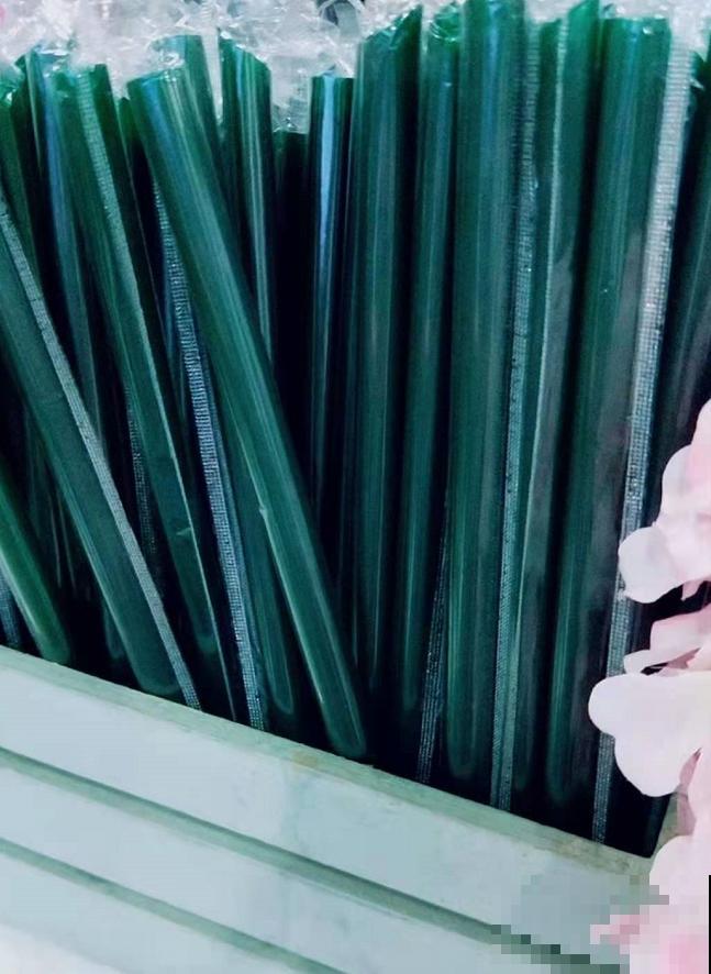 还买什么多肉浇水神器？一根吸管就搞定，怎么浇都不烂叶！