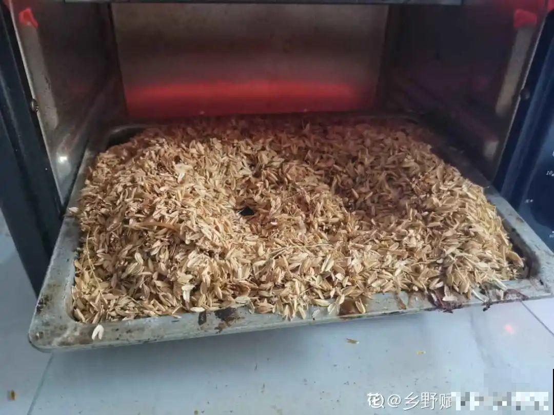 山上松果掉了一地,捡回家一袋子,拿来养花透气性超 山上松果掉了一地,捡回家一袋子,拿来养花透气性超