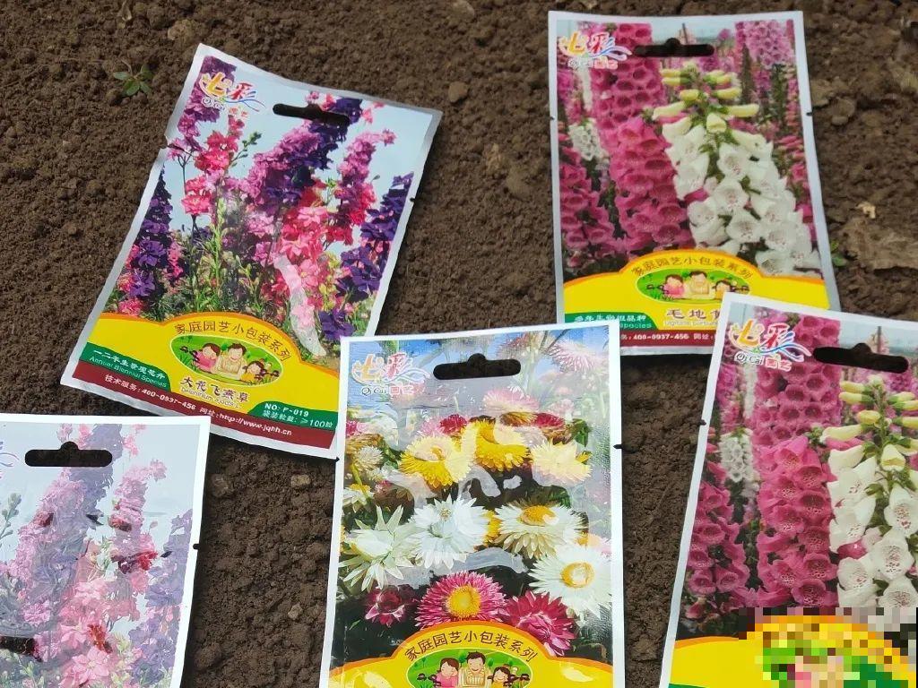 5年的花园，消失只要3天，全没了……