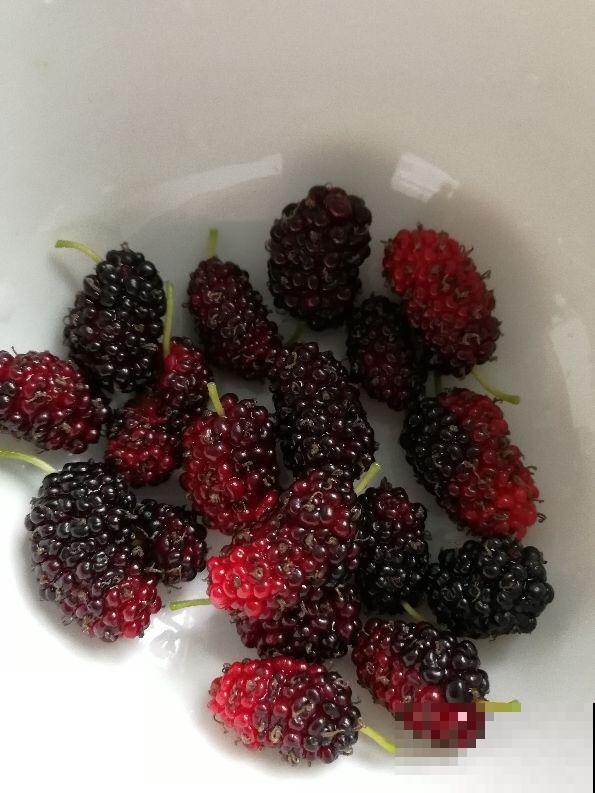 春天常吃这4种水果，补充维C预防感冒，口感也超棒