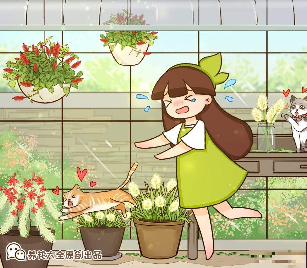 像尾巴的花朵，毛茸茸红彤彤的，太可爱了！