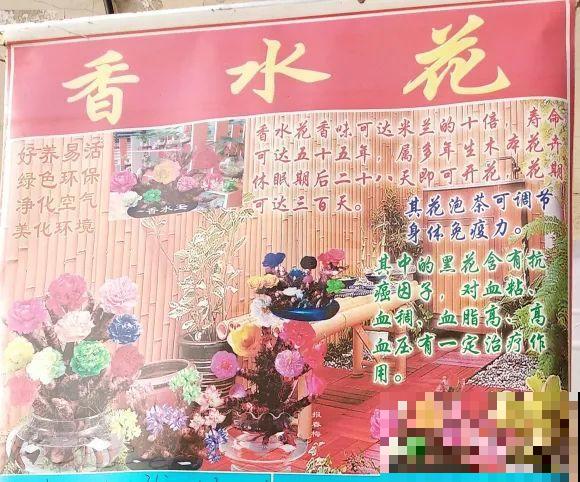 花骗子跑家里来,被戳穿后,没想到赖着不走了! 花骗子跑家里来,被戳穿后,没想到赖着不走了!