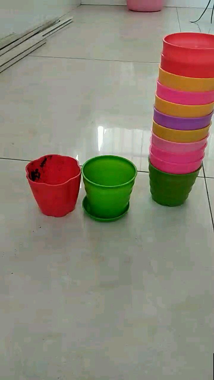 养花选盆很重要,选得正确,花才能长得旺盛 养花选盆很重要,选得正确,花才能长得旺盛