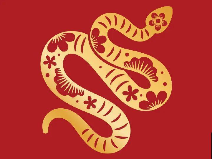 2021，十二生肖的运势，养什么花最旺？