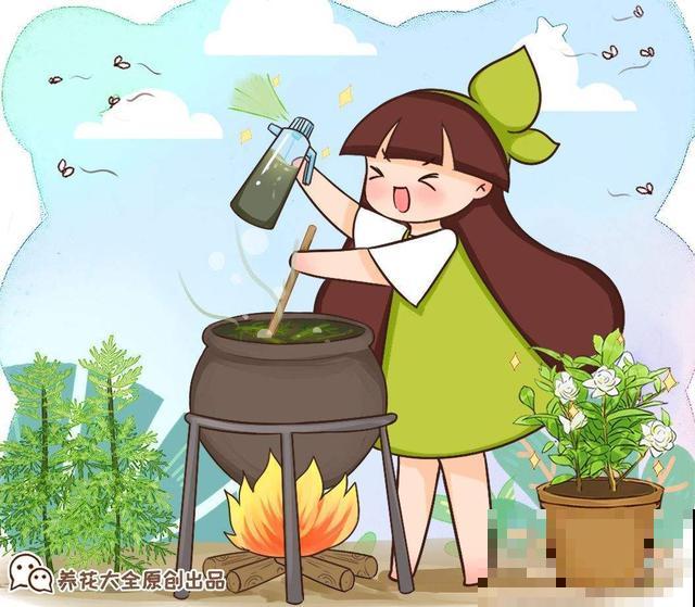 养花不用施肥！养花“万能”水，养出漂亮花卉！