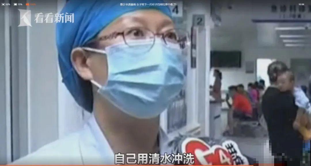 医院铁树结果，却被摘走30颗，园丁师傅吓坏了！