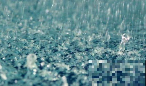 老花农都知道，养花5种情况不能施，小心只剩下盆！