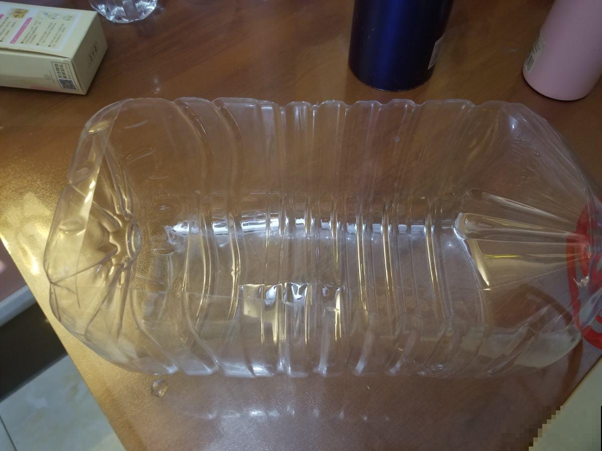 阳台种菜有讲究，记好这几点，随时都有新鲜蔬菜吃！