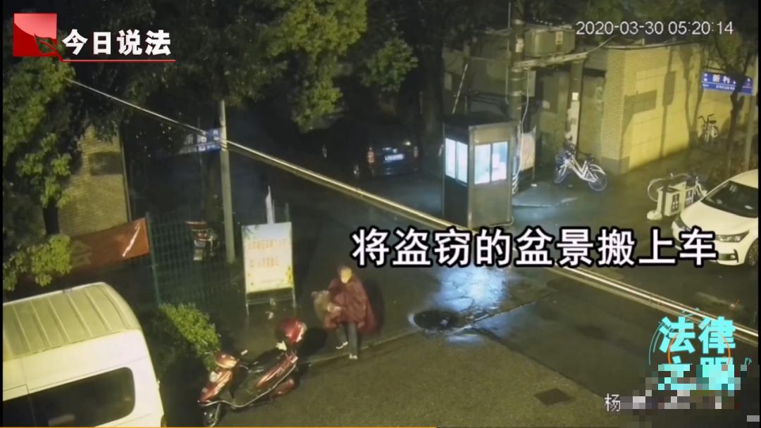 千万不要动我的花,以免赔的倾家荡产! 千万不要动我的花,以免赔的倾家荡产!