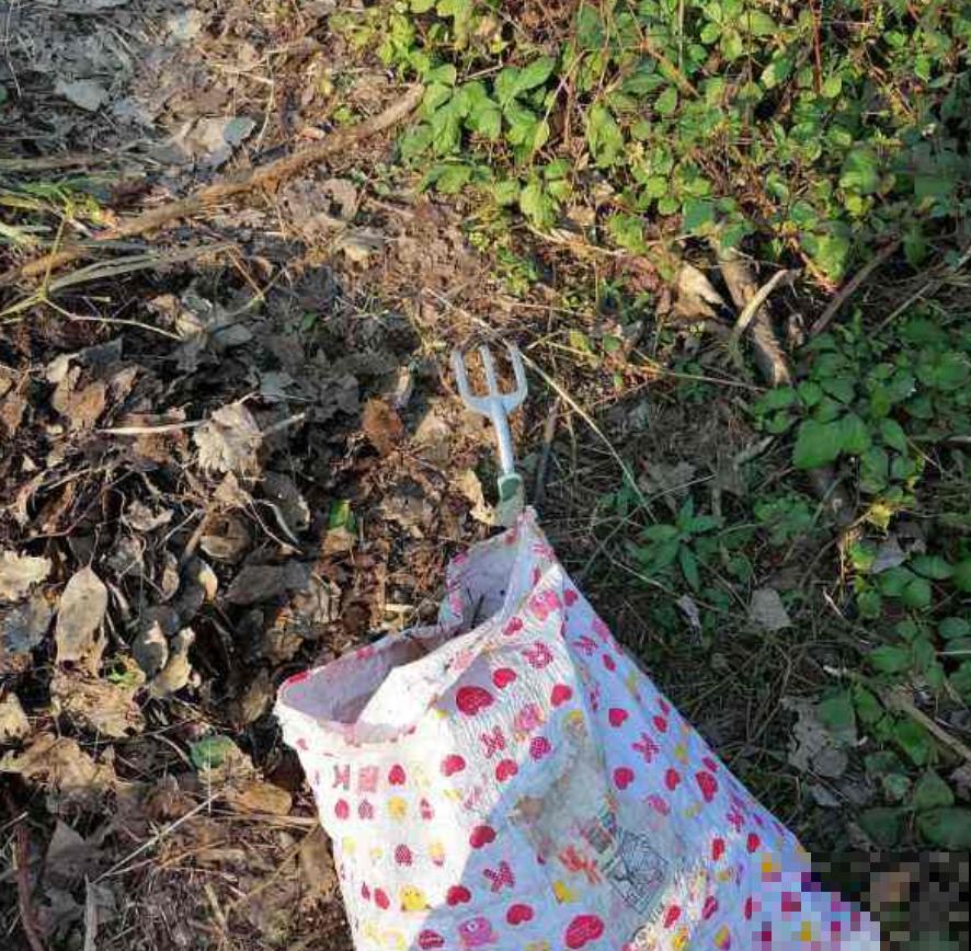 淘汰下的旧土先别扔，放锅里炒一炒，效果还很好！