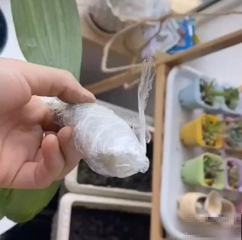 那些被你浪费的“珍宝”,快去捡回来,否则错过“一个亿” 那些被你浪费的“珍宝”,快去捡回来,否则错过“一个亿”