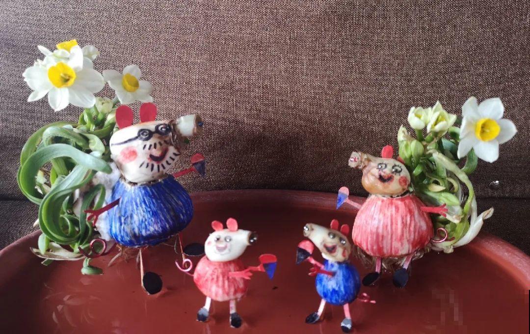 牙签串大蒜，冒充七彩水仙？千万别上当！