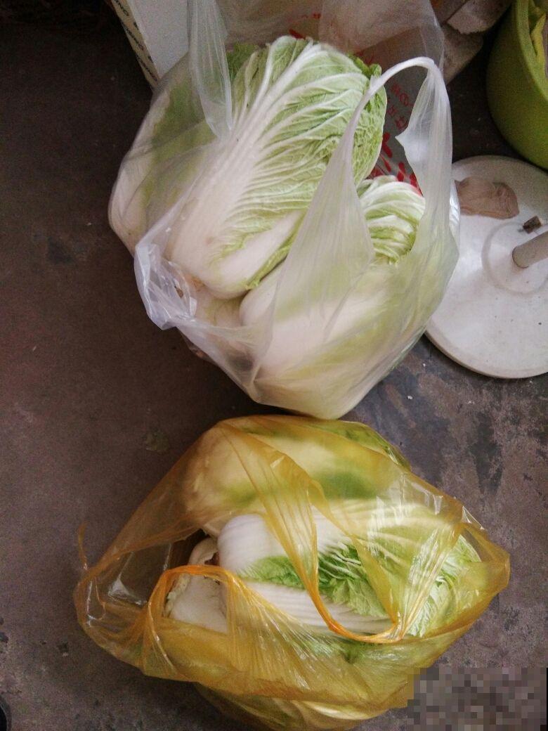 开胃的酸菜，腌制起来特简单，但要注意“2要点”，才不会腐败