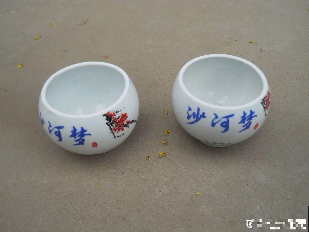 过年的酒瓶子，千万别人，切2刀做花盆，好看又省钱