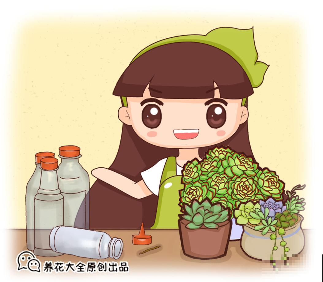 植物也爱“喝”饮料？水里兑点碳酸饮料，花卉越长越旺盛！