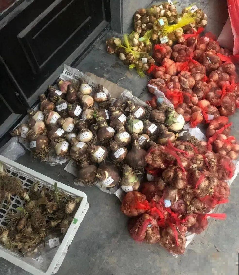 5年的花园，消失只要3天，全没了……