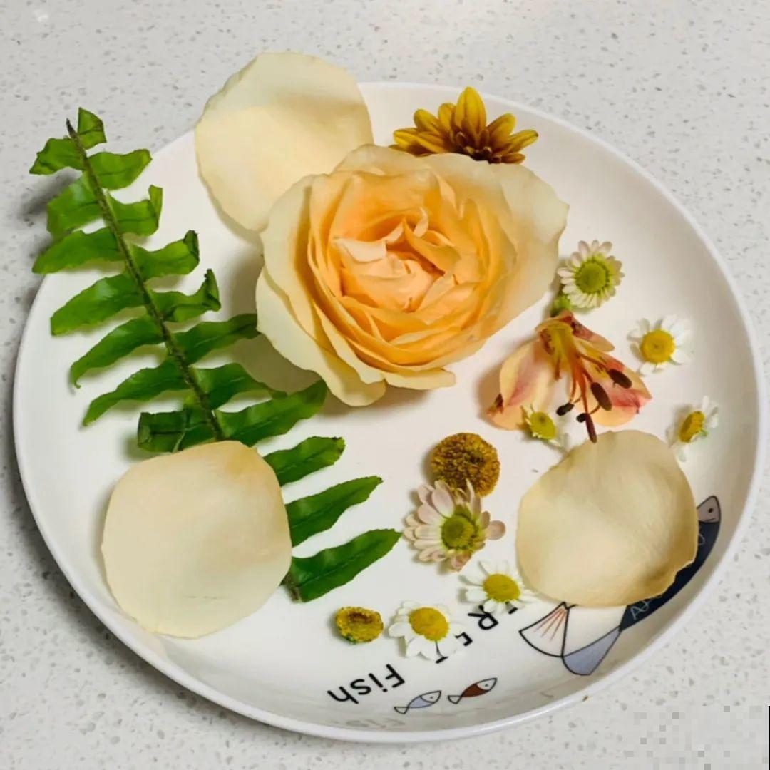 水里摆上花朵，室外冻一冻，简直美翻了！