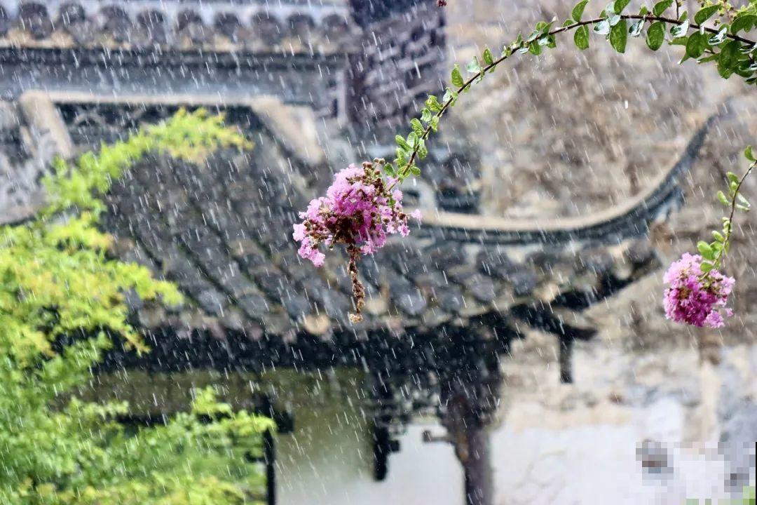 中国最大的6个花市，去过一个就爱上，大开眼界！